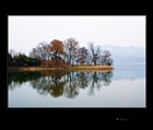 dailyPhoto29