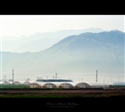 dailyPhoto40