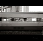 dailyPhoto13