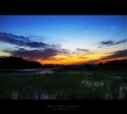 dailyPhoto3