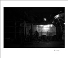 dailyPhoto4