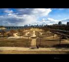 dailyPhoto4
