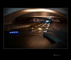 dailyPhoto6
