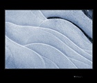 dailyPhoto17