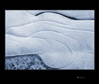 dailyPhoto25