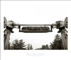 dailyPhoto10