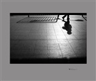 dailyPhoto33