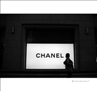 dailyPhoto1