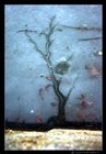 dailyPhoto9