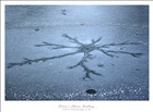 dailyPhoto27