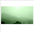 dailyPhoto10
