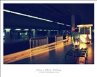 dailyPhoto16