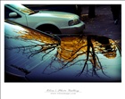 dailyPhoto1