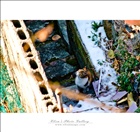 dailyPhoto12