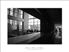 dailyPhoto9
