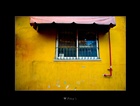 dailyPhoto21