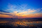dailyPhoto39