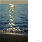dailyPhoto2