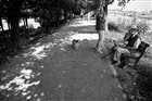 dailyPhoto4