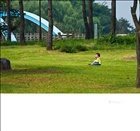 dailyPhoto8