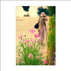 dailyPhoto31