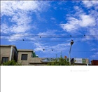 dailyPhoto6