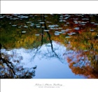 dailyPhoto3