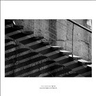 dailyPhoto9