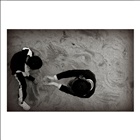 dailyPhoto6