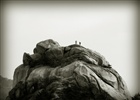dailyPhoto34