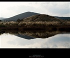 dailyPhoto15