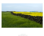 dailyPhoto31