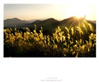 dailyPhoto9