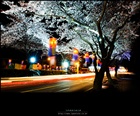 dailyPhoto38