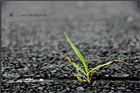 dailyPhoto37