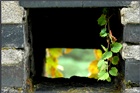 dailyPhoto11