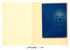 dailyPhoto13