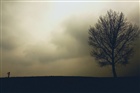 dailyPhoto40