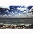 dailyPhoto5