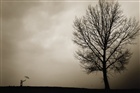 dailyPhoto19