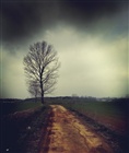 dailyPhoto38