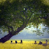 dailyPhoto4