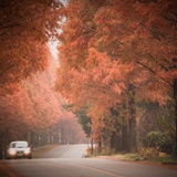 dailyPhoto1