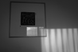 dailyPhoto23