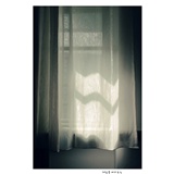 dailyPhoto12
