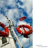 dailyPhoto11