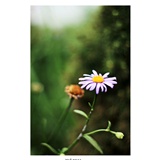 dailyPhoto11