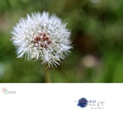 dailyPhoto15