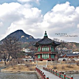 dailyPhoto6