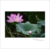 dailyPhoto32